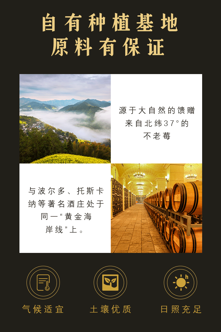 祝江山恋风尘不老莓酒750ml