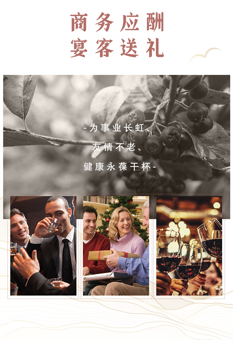 祝江山忆故人不老莓酒750ml