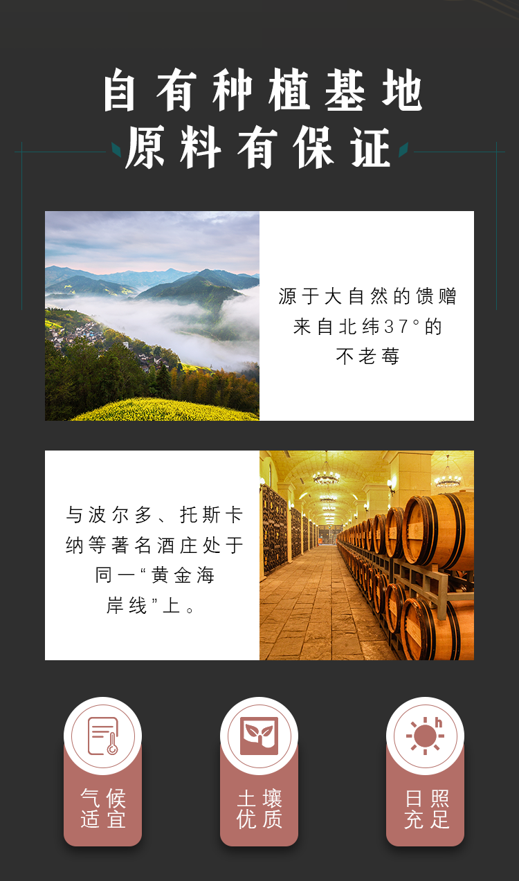 祝江山忆故人不老莓酒750ml