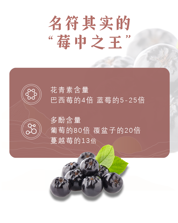 祝江山忆故人不老莓酒750ml