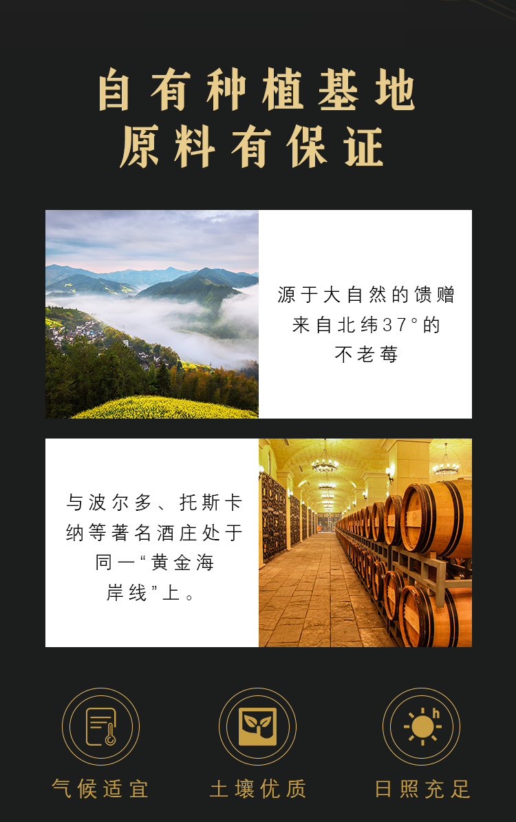 祝江山念山河不老莓酒750ml