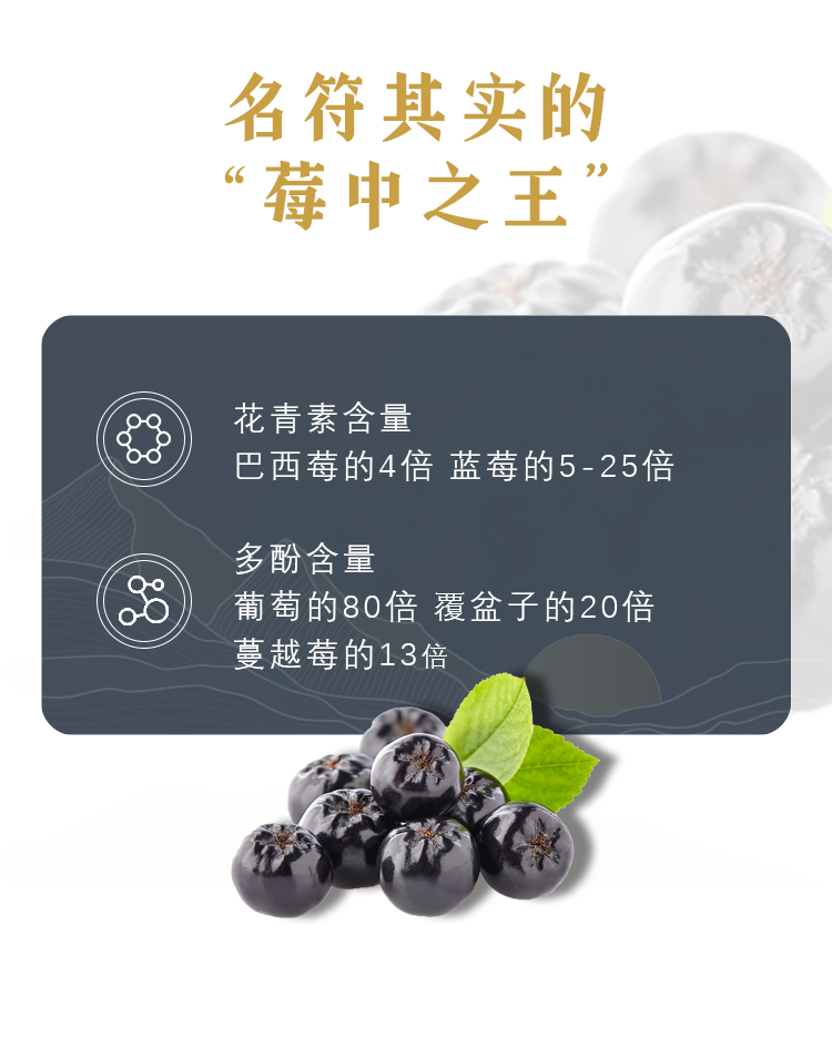 祝江山念山河不老莓酒750ml
