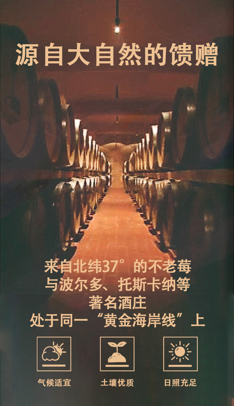 车尔西曜星月不老莓酒500ml