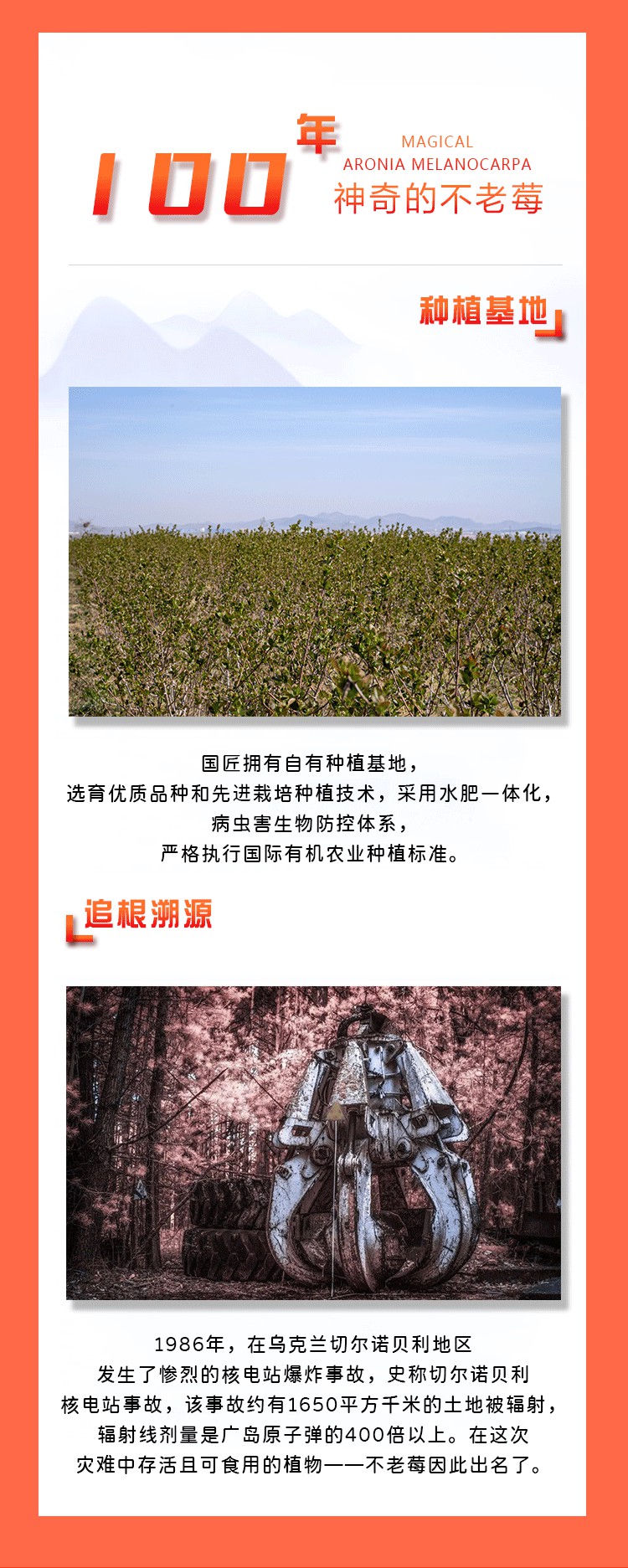 车尔西曜金秋不老莓酒500ml