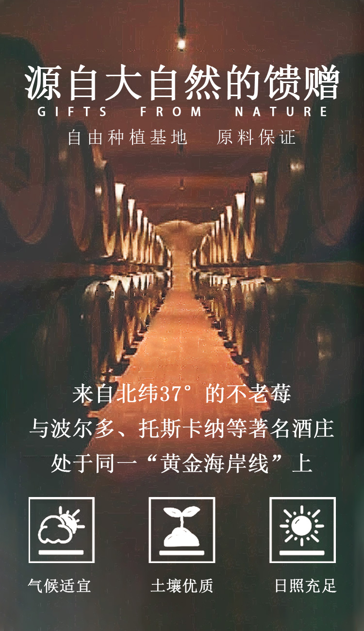 白酒—陶朱汇 500ml