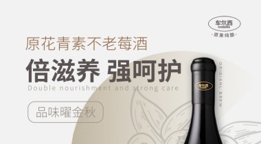 车尔西简介
