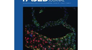 美国实验生物学学会联合会【FASEB】— 不老莓有助于降低血糖缓解炎症