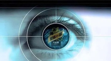 为什么不老莓能够保护改善视觉系统？