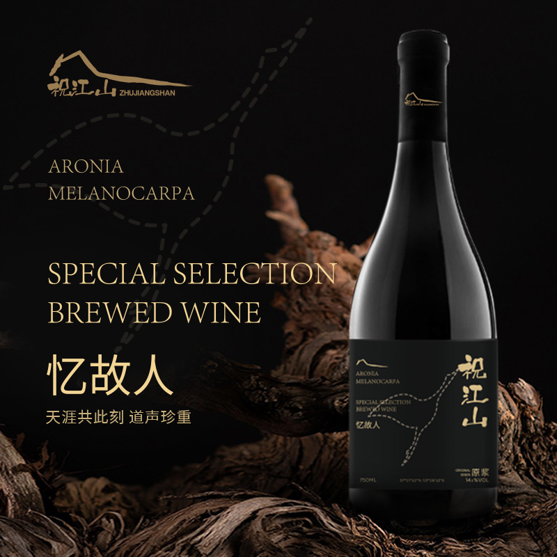 祝江山简介 祝江山简介