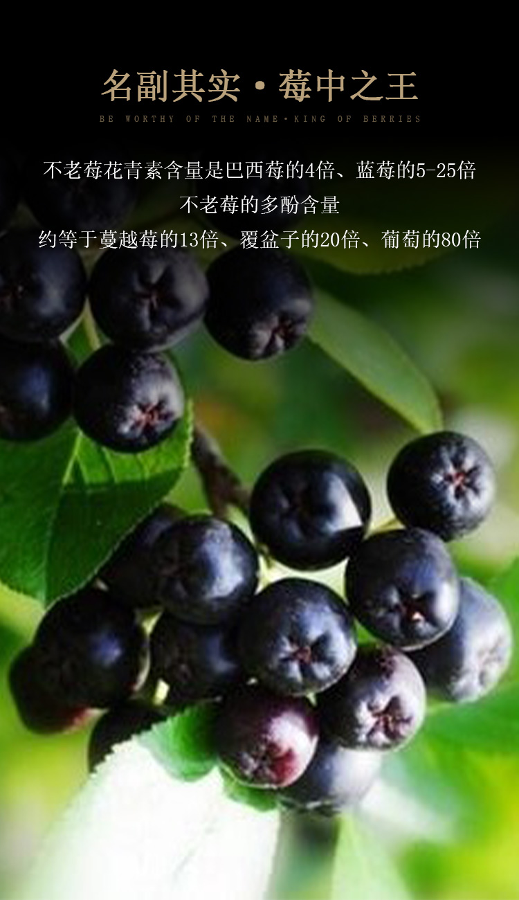 畅宏境银标 750ml