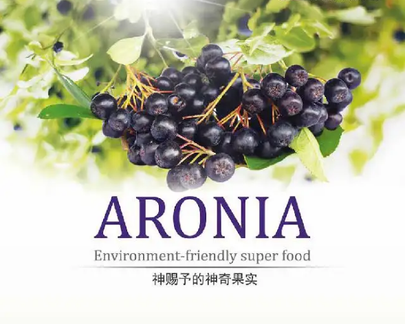 非同凡响的不老莓 非同凡响的不老莓