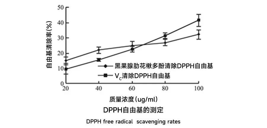 浅谈不老莓的活性成分及抗衰老功能 浅谈不老莓的活性成分及抗衰老功能
