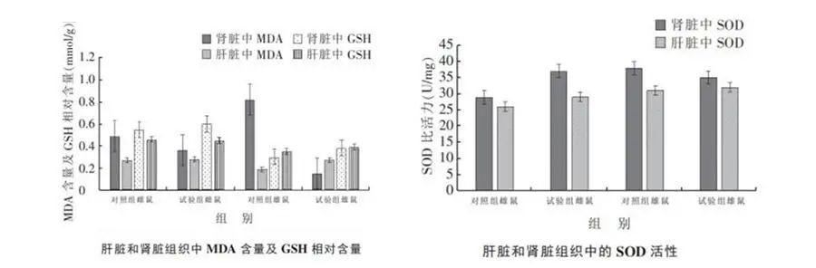 浅谈不老莓的活性成分及抗衰老功能 浅谈不老莓的活性成分及抗衰老功能