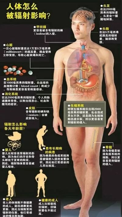 重大发现 | 不老莓能减少辐射对人体的侵害 重大发现 | 不老莓能减少辐射对人体的侵害