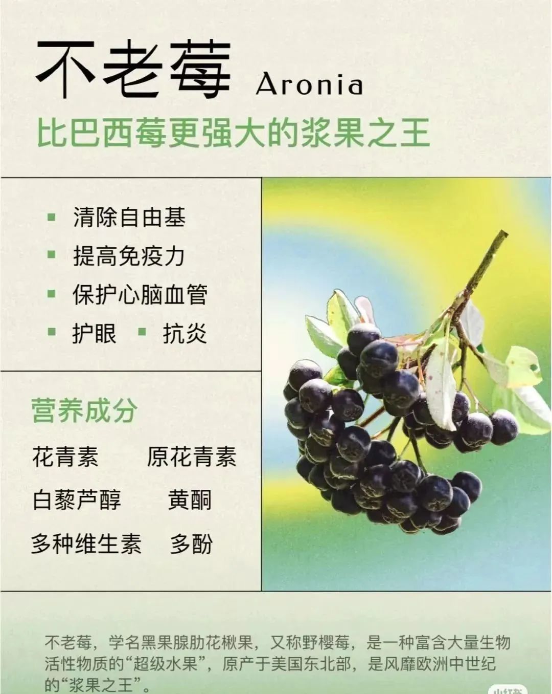 重大发现 | 不老莓能减少辐射对人体的侵害 重大发现 | 不老莓能减少辐射对人体的侵害