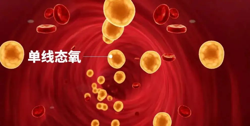 免疫健康——抗氧化最关键