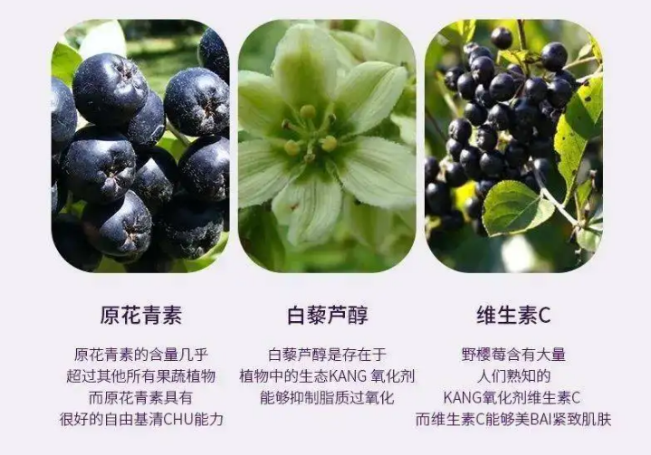 免疫健康——抗氧化最关键 免疫健康——抗氧化最关键