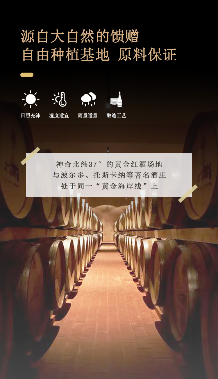 畅宏境金标750ml
