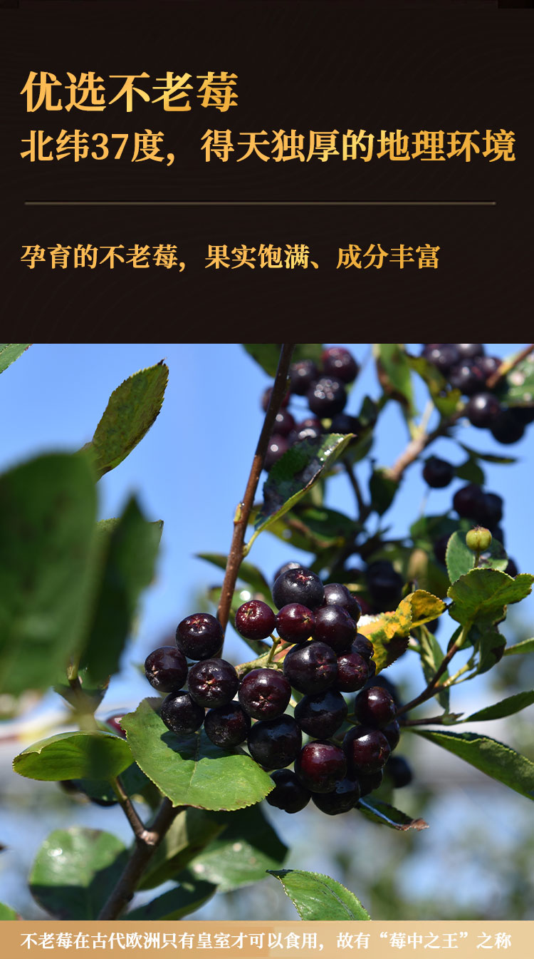 不老莓vsop750ml