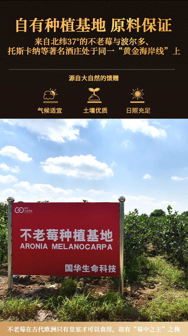 不老莓vsop750ml