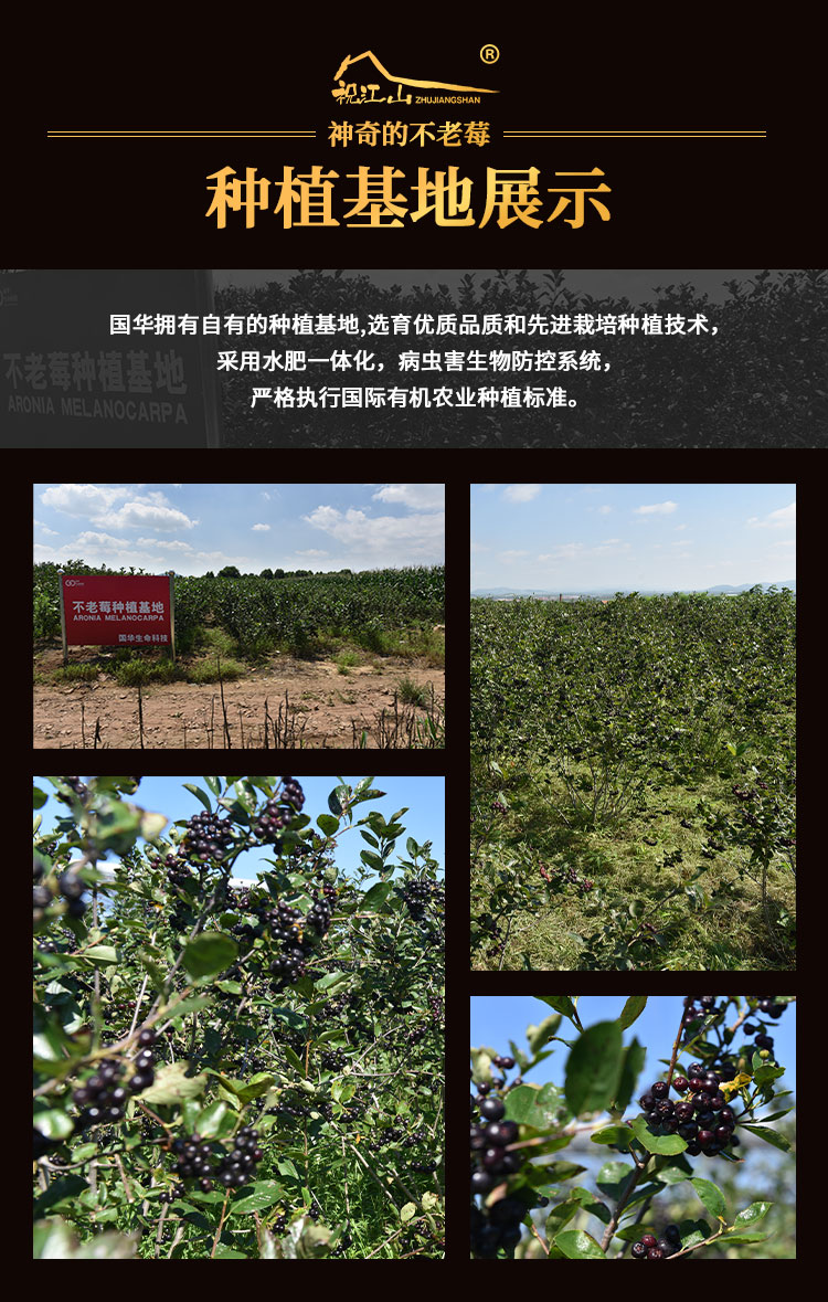 不老莓vsop750ml
