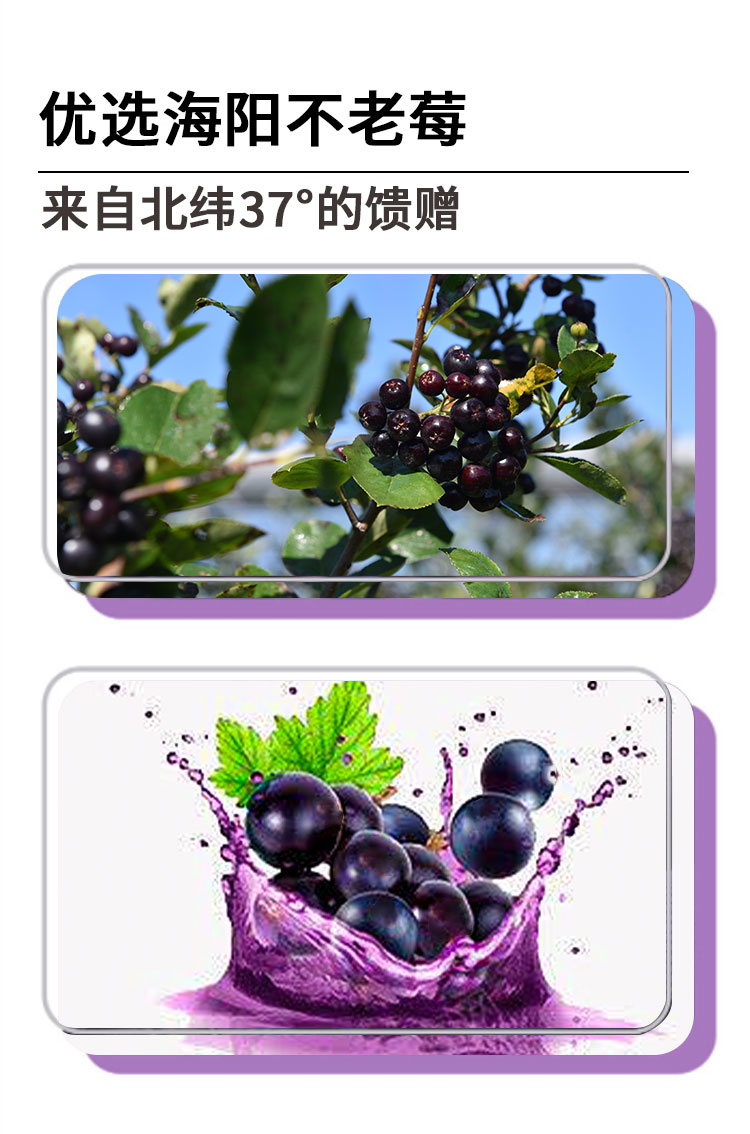 果醋450ml
